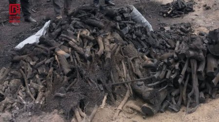 Qubada qanunsuz kömür quyusu AŞKARLANDI