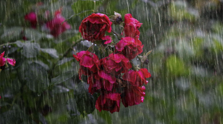 Hava kəskin DƏYİŞİR – Temperatur enəcək, yağış yağacaq