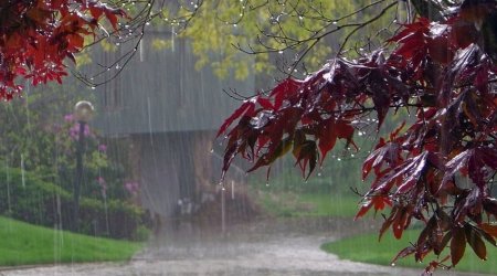 İsti günlər BAŞA ÇATIR – Temperatur enəcək, yağış yağacaq – BU TARİXDƏN
