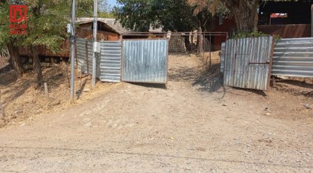 Cəlilabadda çaqqal sakinlərə HÜCUM ETDİ – Yaralananlar var - FOTO