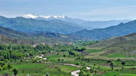 Tovuzda kişi meyiti tapıldı