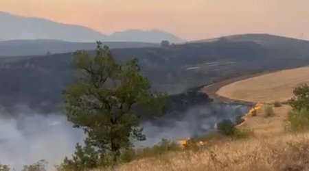 Zəngilanda yanğın törədən şəxs SAXLANILDI – FOTO