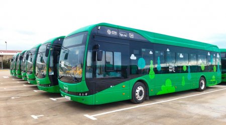 Naxçıvana elektrik mühərrikli avtobuslar gətiriləcək