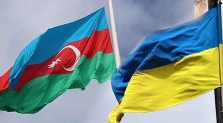 Ukrayna səfiri Azərbaycana təşəkkür etdi