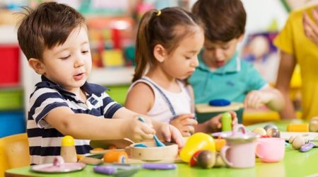 Dövlət bağçalarında ödənişli xidmət göstərilə bilərmi? – RƏSMİ