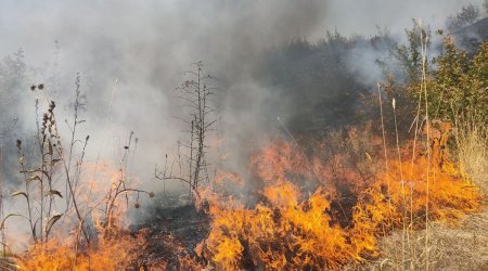 FHN Qazaxdakı yanğınla bağlı məlumat yaydı - YENİLƏNİB/FOTO/VİDEO