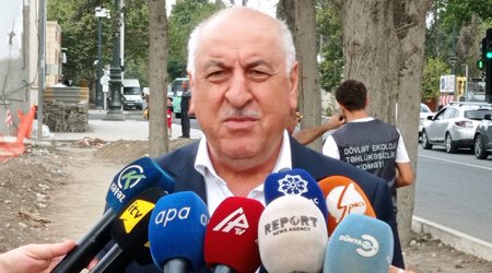 Gəncədə qurumuş ağaclar nömrələnir - Fotolar