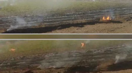 Cəlilabadda yanğın törədənlər məsuliyyətə cəlb OLUNDU