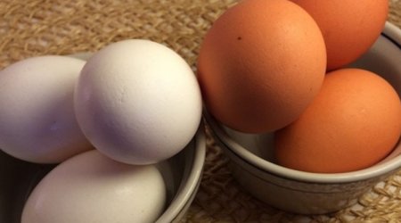 Sarı, yoxsa ağ - Hansı yumurta daha faydalıdır?