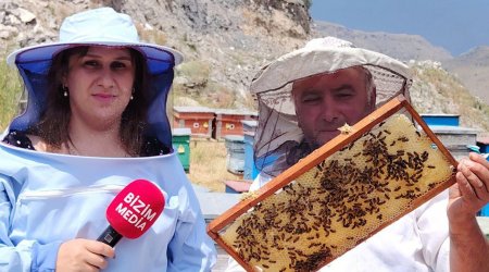 Min bir dərdin DƏRMANI – Kəlbəcər balını digərlərindən necə ayırd etmək OLAR? – VİDEOREPORTAJ