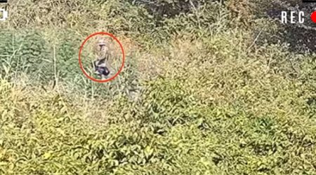 Polis meşədə əməliyyat keçirdi: Həbs edilən var – ANBAAN VİDEO