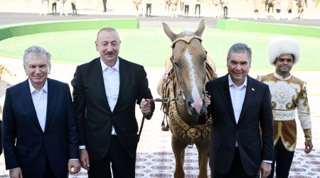 Qurbanqulu Berdiməhəmmədov İlham Əliyevə “Axaltəkə” atı HƏDİYYƏ ETDİ - FOTO/VİDEO