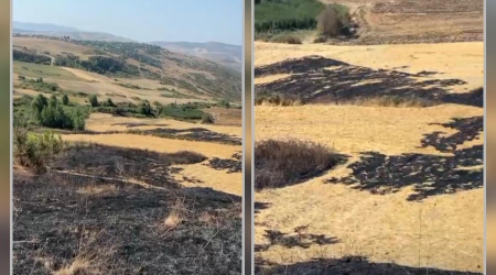 Şamaxıda yanğın törədən şəxs məsuliyyətə cəlb olundu