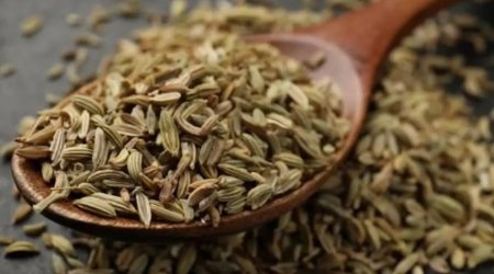 Dünyanın ən sağlam qidası bəlli oldu!