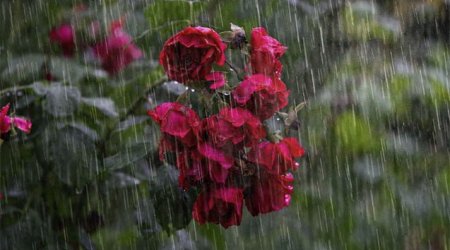 Hava kəskin DƏYİŞİR: Yağış yağacaq, şimşək çaxacaq