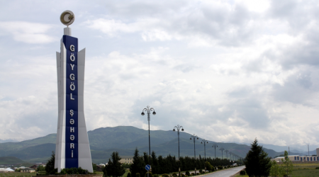 Göygöldə 26 yaşlı qadın sevgilisini yaba ilə döydü