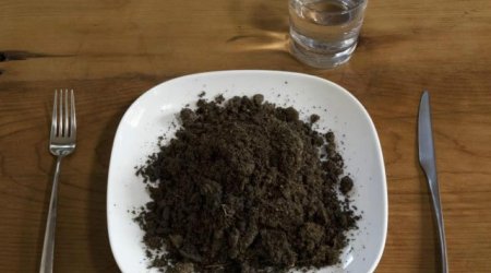 Torpaq, təbaşir, gil yeyənlər özlərini təcili həkimə göstərsinlər – Orqanizm hansı siqnalları verir?