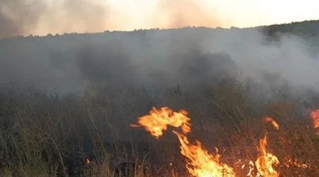 Qızılağac Milli Parkının ərazisi YANIR
