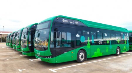Daha iki marşrut xəttinə YENİ AVTOBUSLAR verilir