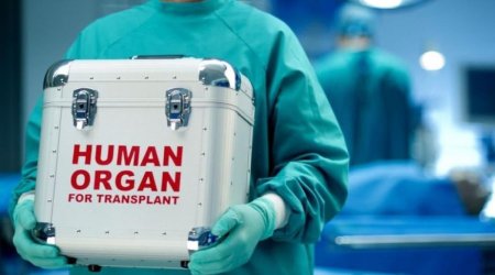 Məhkumların orqanlarını bağışlaması niyə QADAĞANDIR?