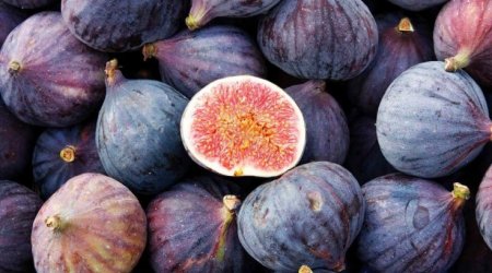 Əncirin ömrü uzatdığı SÜBUT OLUNDU