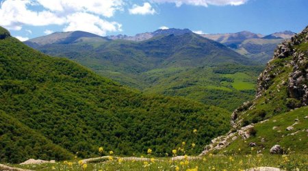 Laçın və Qubadlıda 2-ci yeni milli park yaradılacaq