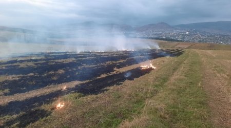 Şamaxıda yanğın törədən şəxs məsuliyyətə cəlb olundu – FOTO