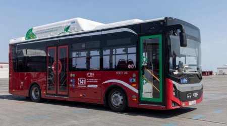 Artım yalnız bu avtobuslara aiddir – RƏSMİ