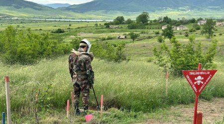 Qazaxın azad edilmiş kəndlərinin nə qədər hissəsi minalardan təmizlənib? - AÇIQLAMA