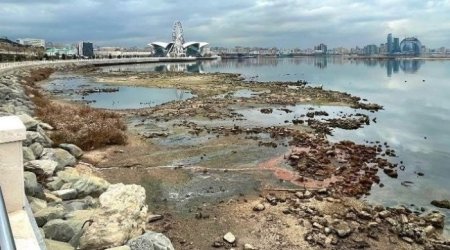 Xəzərlə bağlı TƏHLÜKƏ BÖYÜYÜR – Bu sürətlə qurumağa davam etsə...