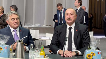 İlham Əliyev Aİ-nin plenar sessiyasında iştirak edib - FOTO/VİDEO