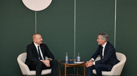 Prezident Niderlandın Baş naziri ilə görüşdü – FOTO