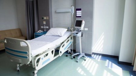 Azərbaycanda evtanaziyaya icazə VERİLƏCƏK? – Deputatdan AÇIQLAMA