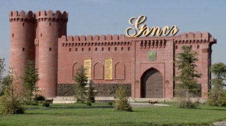 Gəncədə küçədə söyüş söyən tiktoker HƏBS OLUNDU