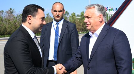 Orban Qəbələdədir – FOTO