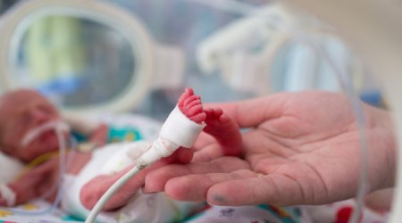 Ötən il doğulan üçəm və dördəmlərin sayı açıqlanıb