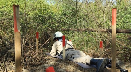 SON DƏQİQƏ! Xocavənddə ağaca quraşdırılmış tələ minası aşkarlandı – FOTO