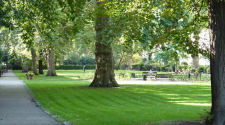 Bakıda parkda huşsuz vəziyyətdə tapılan kişi vəfat etdi