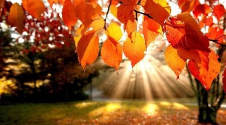 Sabah 27 dərəcə isti olacaq – PROQNOZ