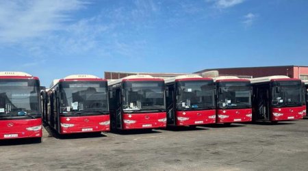 Bakıda daha bir marşrutun avtobusları YENİLƏNİR