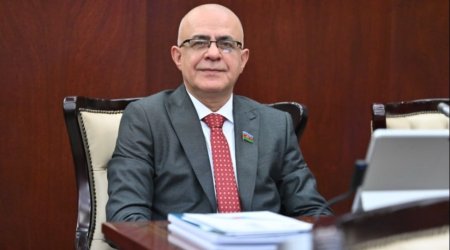 Elçin Mirzəbəyli partiyasından XARİC EDİLDİ