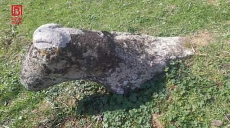 Cəlilabadda tarixi heykələ qarşı VANDALLIQ - FOTO