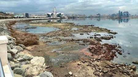 Xəzərin səviyyəsinin enməsi nə vaxtadək davam edəcək? – Rəsmi AÇIQLAMA