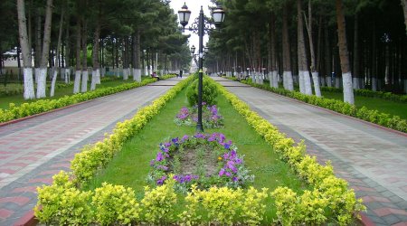 Abşeronda 20 yaşlı oğlan qətlə yetirildi