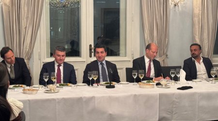 Almaniyada Azərbaycanın sülh və sabitliyin möhkəmlənməsində mühüm rolu MÜZAKİRƏ EDİLDİ - FOTO