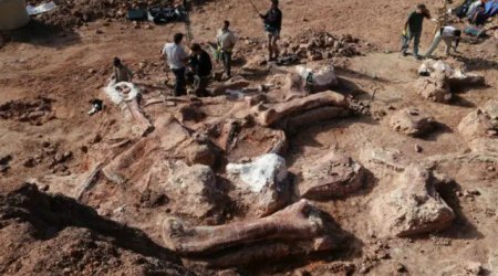Argentinada ən qədim dinozavrlardan birinin qalıqları TAPILDI