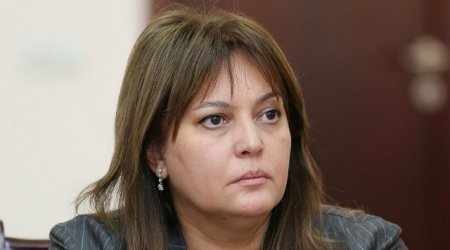 “Temperatur bu həddi keçdikdə ölüm halları kəskin ARTIR” – Nazir müavinindən XƏBƏRDARLIQ