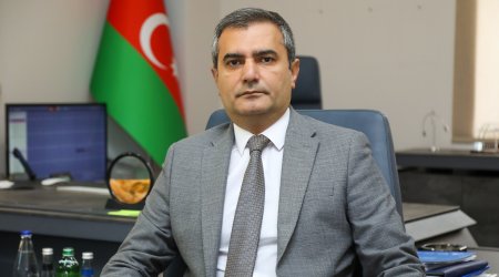 Saxta audit hesabatları – İqtisadiyyata görünməyən ZƏRBƏ