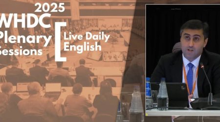 Abbas Abbasov: “Belçikanın Afrikada törətdiyi vəhşiliklər insan əzabının ən dəhşətli nümunələrindən biridir” – FOTO