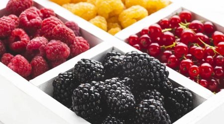 Qan damarlarını gücləndirən giləmeyvələr açıqlandı